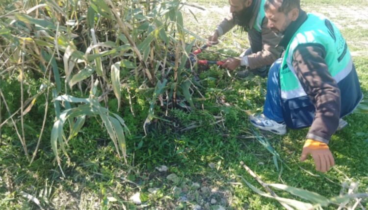 Messenger_creation_EC1C09E6-39D9-4247-A13E-E12390816121