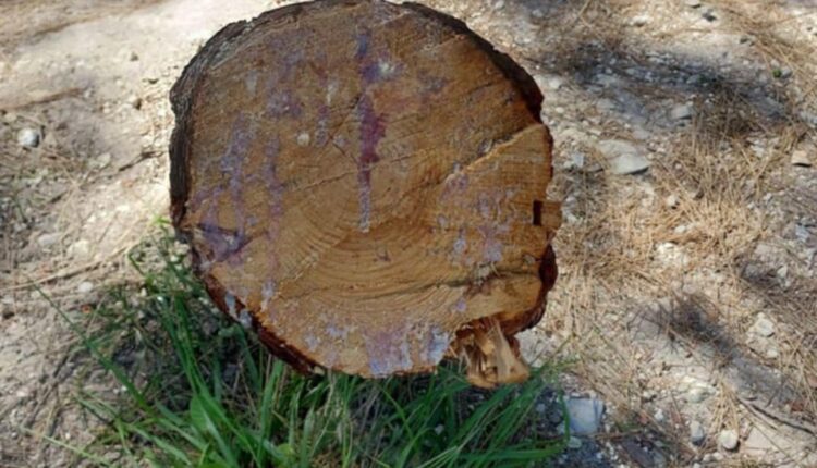 Messenger_creation_33F95F25-CC5D-436F-8786-2DF0CA75294D