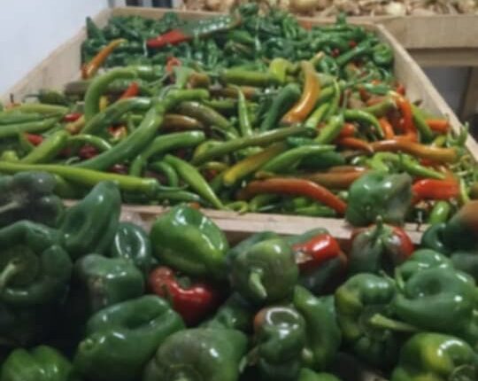 Messenger_creation_7A6B7061-D638-442C-9613-E2E0620908C6