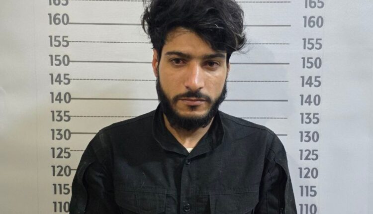 IMG_20250404_202924_043