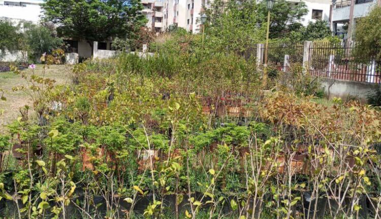 IMG_20250408_220725_408