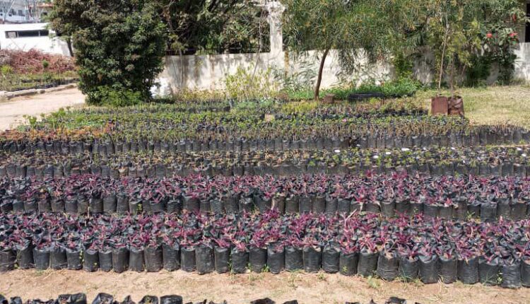 IMG_20250408_220725_681