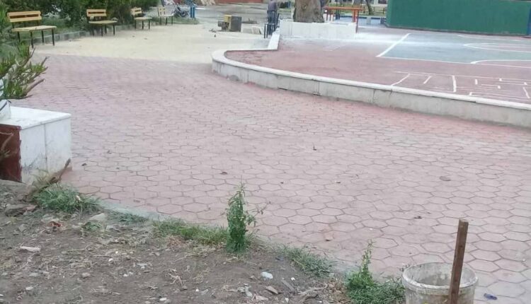 IMG_20250408_223447_214