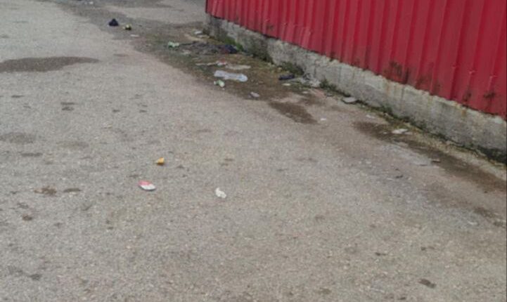 IMG_20250409_131012_845