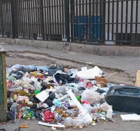 IMG_20250409_184655_112