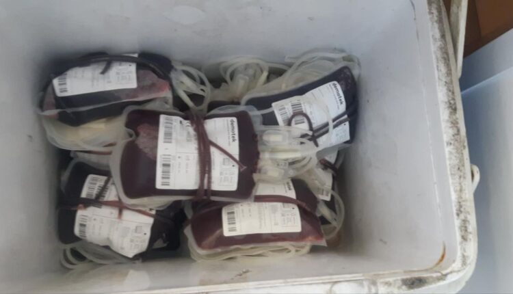 IMG_20250415_164658_945