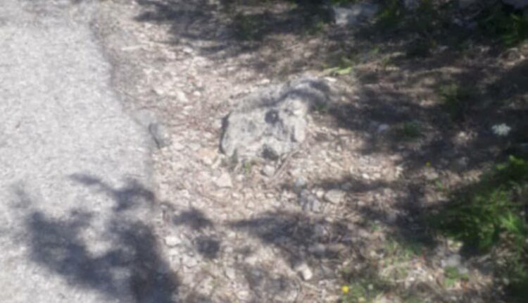 IMG_20250422_123925_863