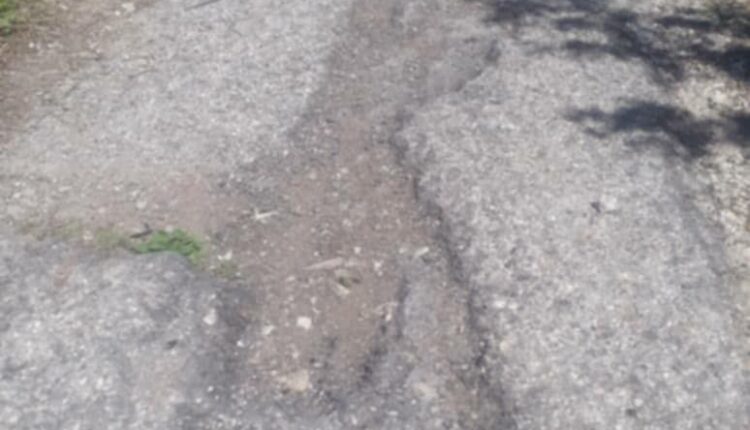 IMG_20250422_123926_226