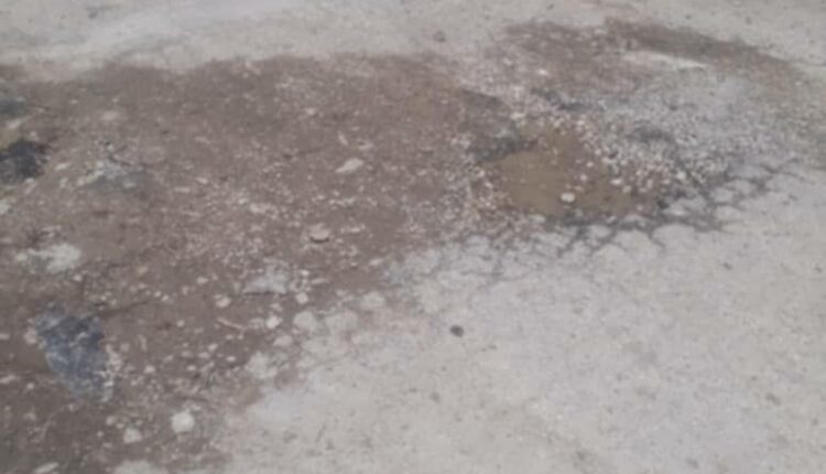 IMG_20250422_123926_319