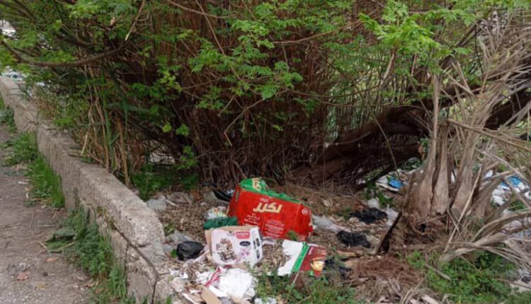 IMG_20250423_234152_660