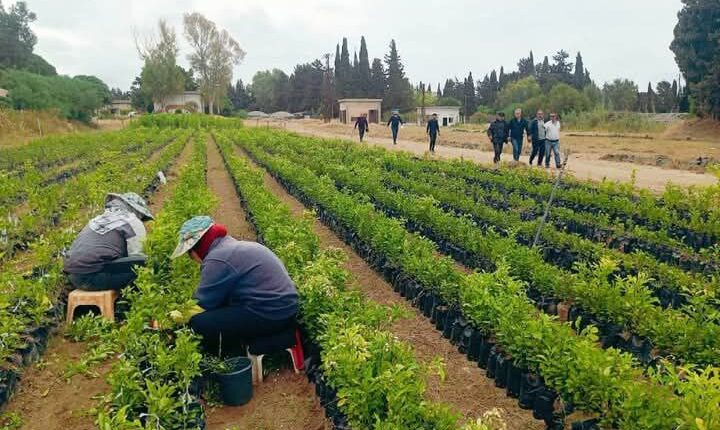 IMG_20250430_125212_254