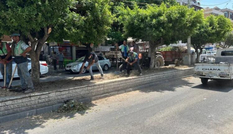 IMG_20250726_213322_157