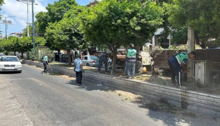 IMG_20250726_213322_318