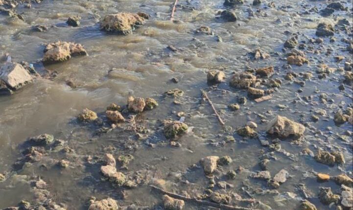 IMG_20250730_162915_623