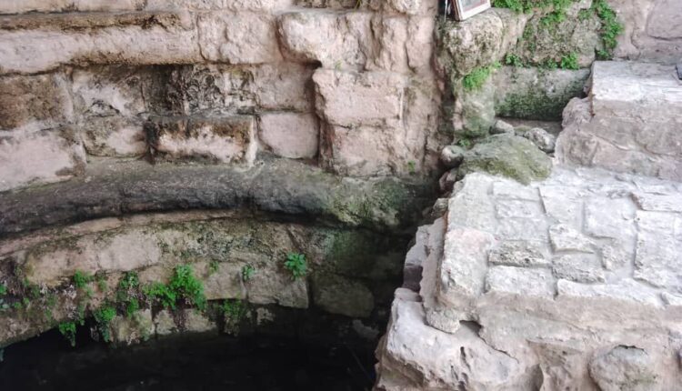 IMG_20250808_111704_029