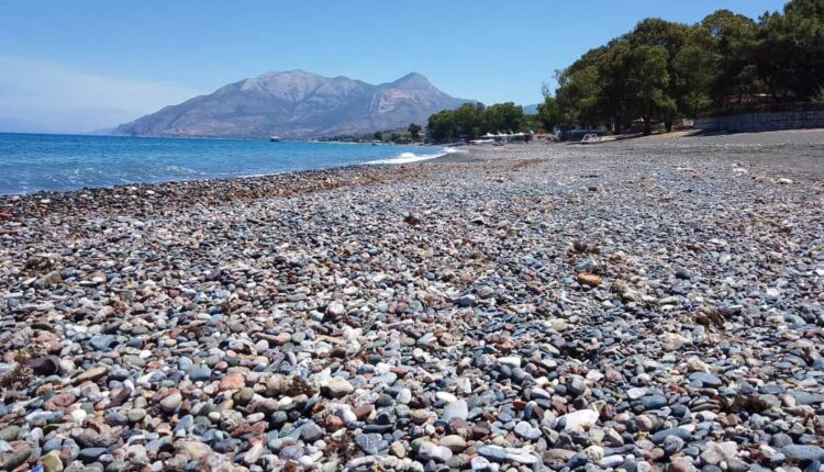 IMG_20250808_111704_591