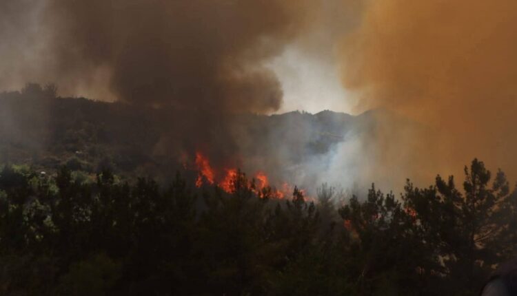 IMG_20250814_094415_362