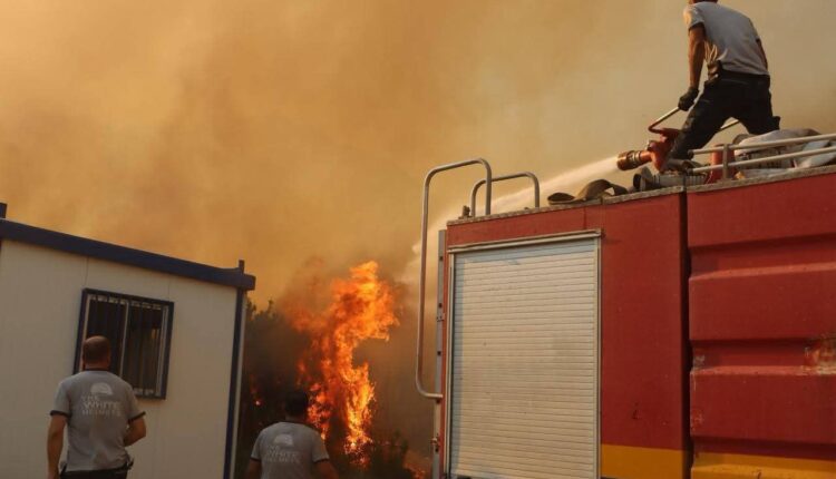 IMG_20250814_094415_673