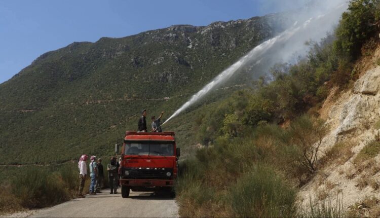 IMG_20250814_094415_677