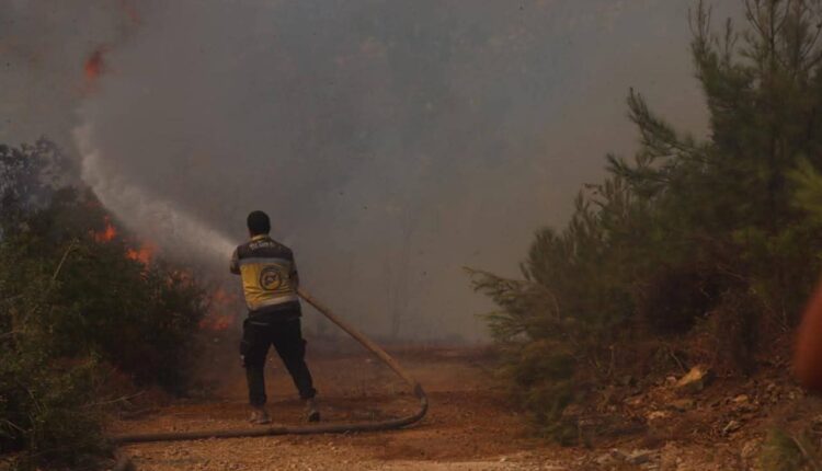 IMG_20250814_094415_781