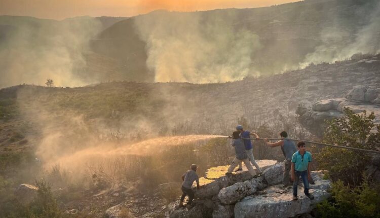 IMG_20250815_091531_023