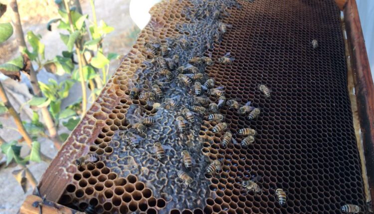 IMG_20250822_120730_272