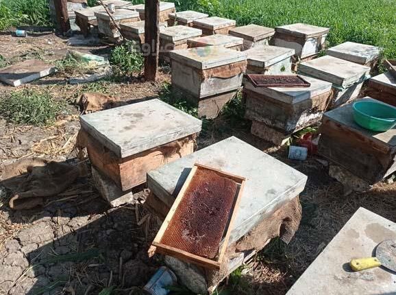 IMG_20250822_120730_330