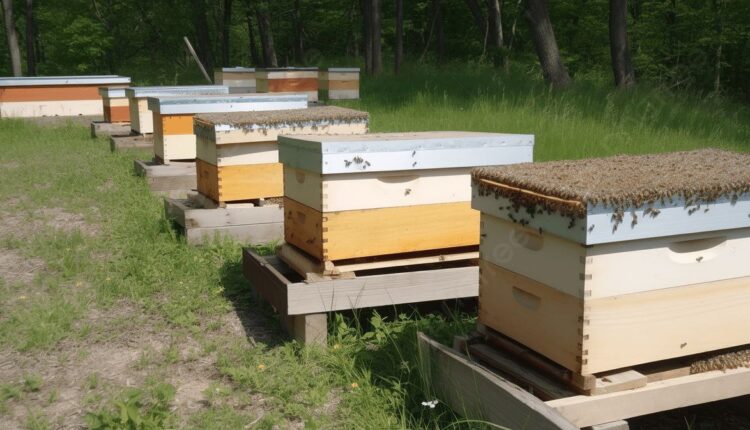 IMG_20250822_120731_004