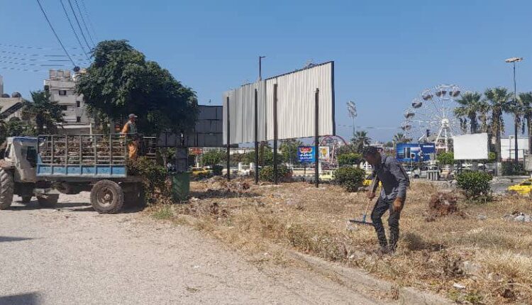 IMG_20250826_153225_938