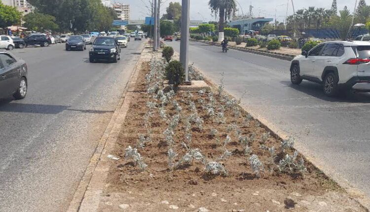 IMG_20250826_153226_254