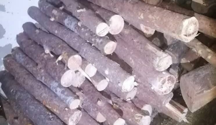 IMG_20250903_150003_980