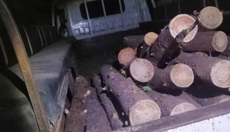 IMG_20250903_150004_351