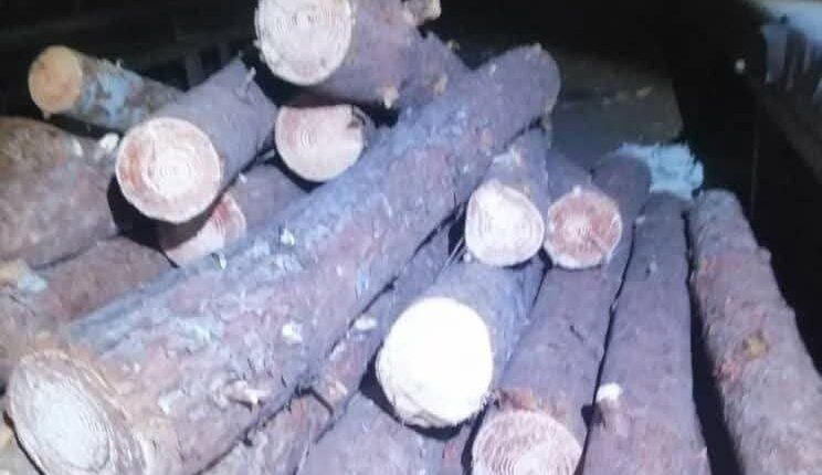 IMG_20250903_150004_385