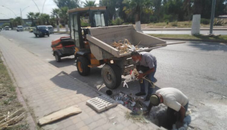 IMG_20250911_172131_287