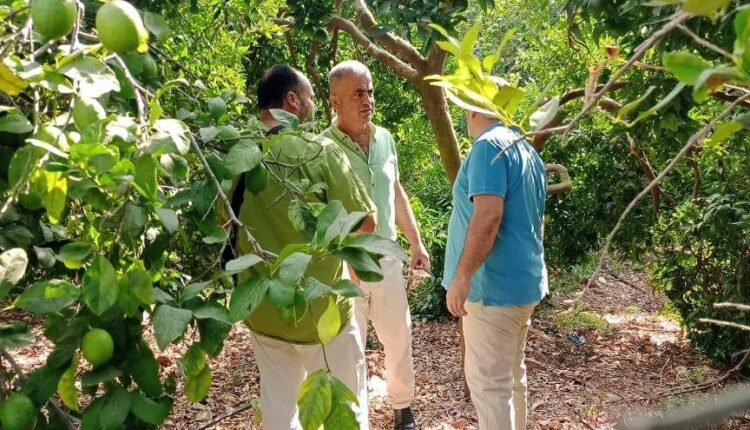 IMG_20250916_173204_426