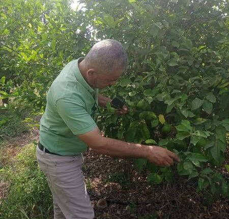 IMG_20250916_173204_648