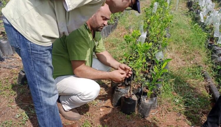 IMG_20250916_173204_902