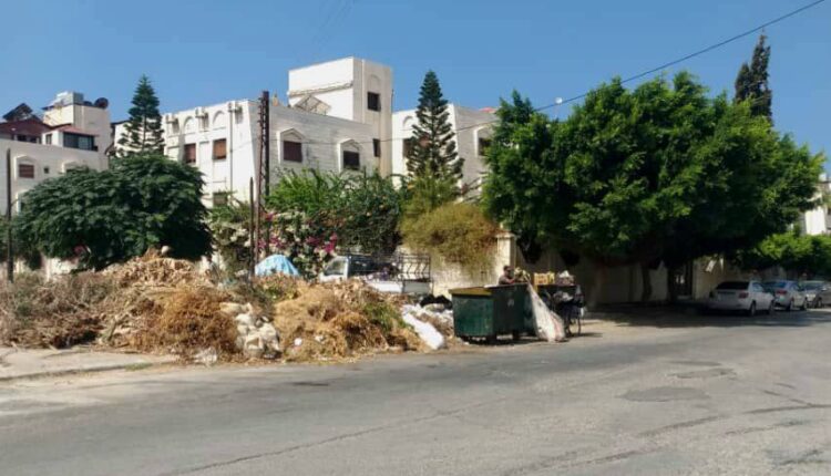 IMG_20250917_143142_678