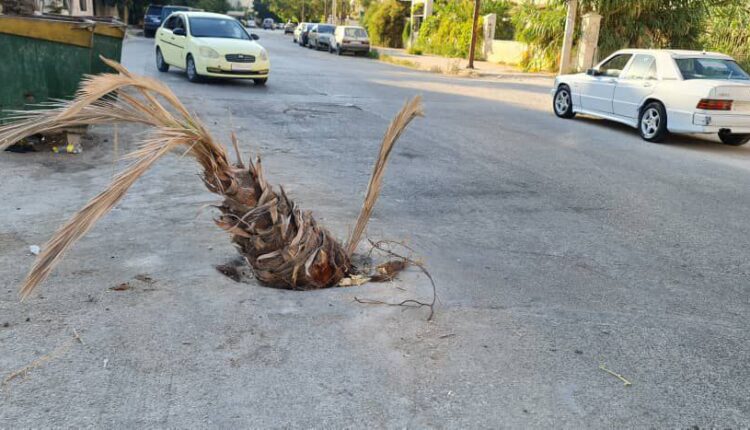 IMG_20250917_143143_322