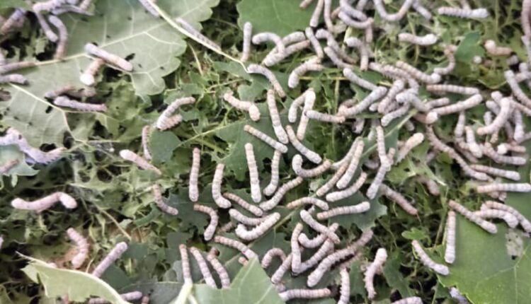 IMG_20250917_225840_284