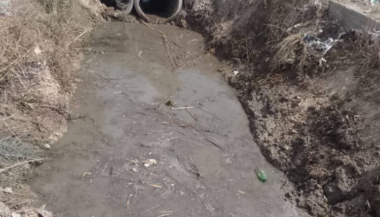 IMG_20250918_171944_385