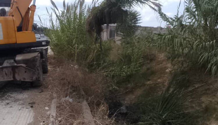 IMG_20250918_171944_387