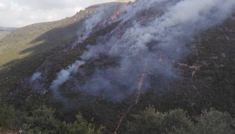 IMG_20250921_170820_823