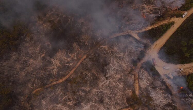 IMG_20250921_180719_974