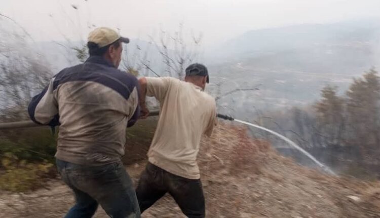 IMG_20250926_174952_449