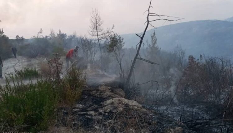 IMG_20250926_174952_883