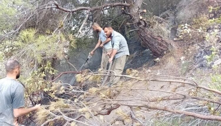 IMG_20250926_174953_091