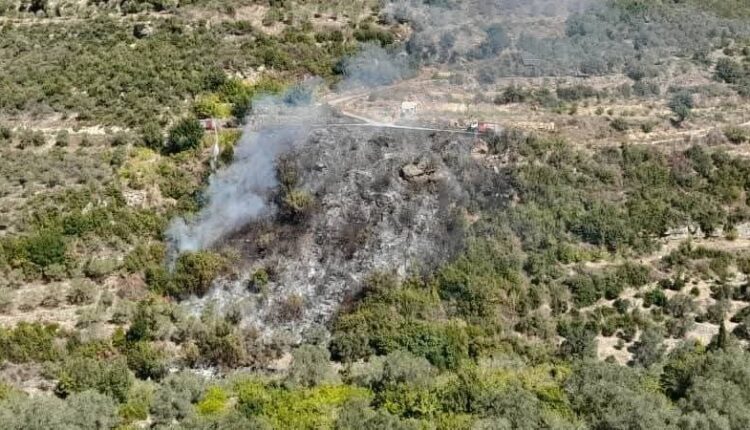 IMG_20250928_181222_784