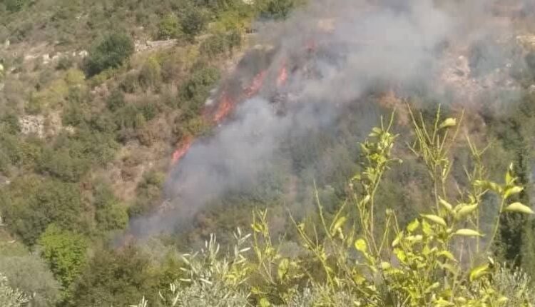 IMG_20250928_181223_290