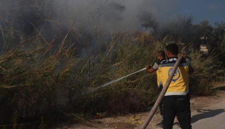 IMG_20250929_215559_118